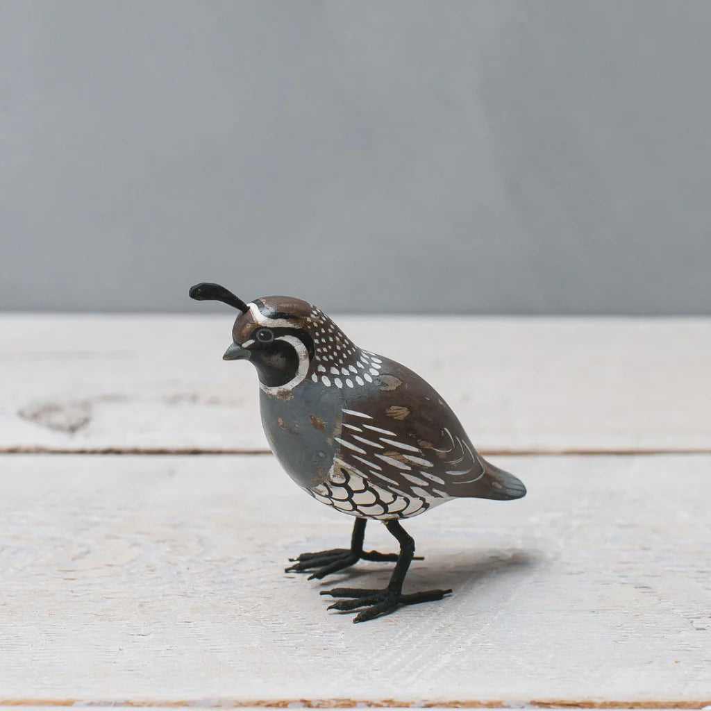 Bird / Avian Biology - Decorative Figurine