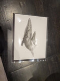 Map / The Nest - Whales