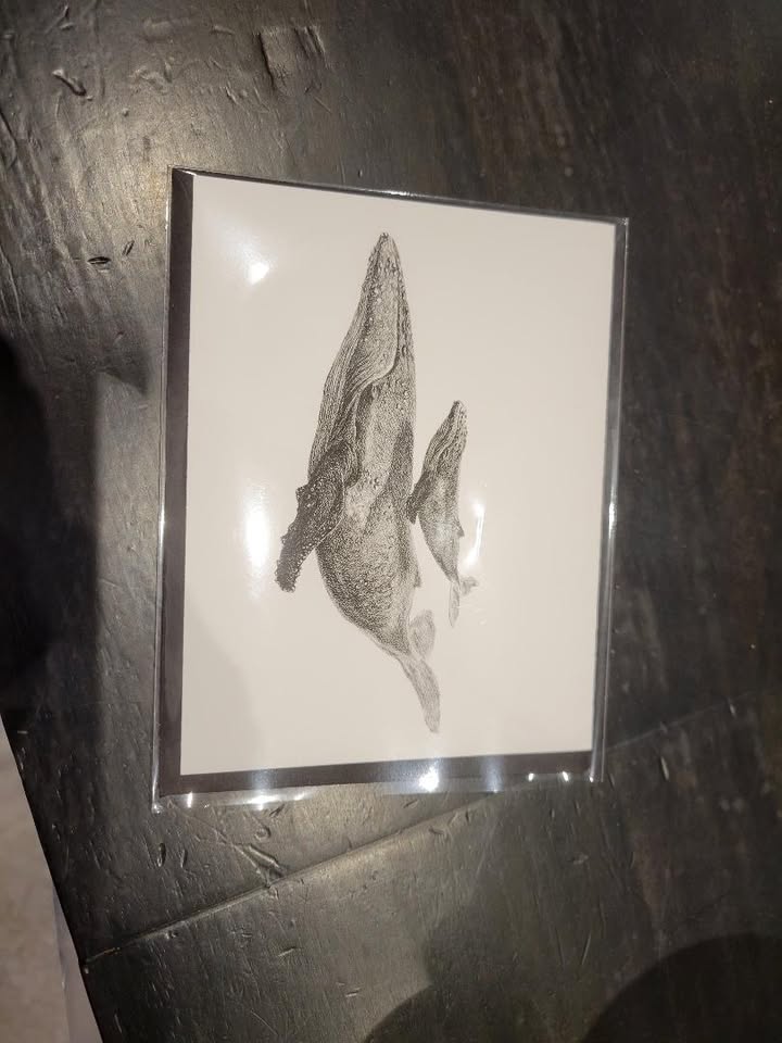 Map / The Nest - Whales