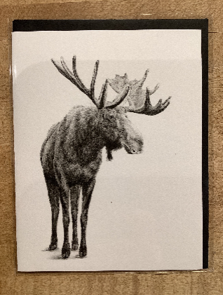 Card / The Nest - Fawn