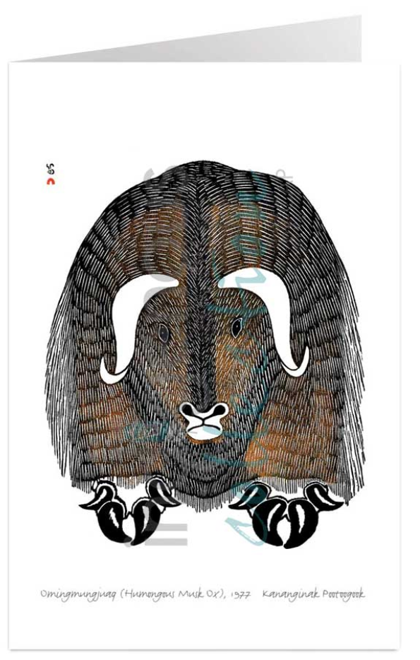 Carte / Canadian Art Prints - Kananginak Pootoogook - Divers