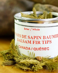 Spices / Wild spices - Balsam fir shoots