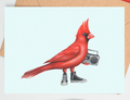 Card / Sardines Studio - Cardinal - Red