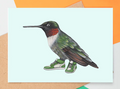 Card / Sardines Studio - Hummingbird - Green