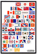 Affiche / Raymond Biesinger - Select Submissions Flag - 12x18
