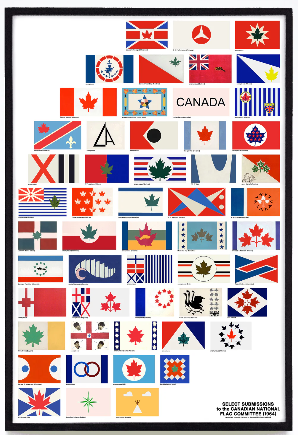 Affiche / Raymond Biesinger - Select Submissions Flag - 12x18