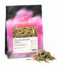 Tea / Camellia Sinensis - Maple