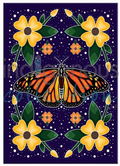 Magnets / Canadian Art Prints - Marissa Indoe - Divers