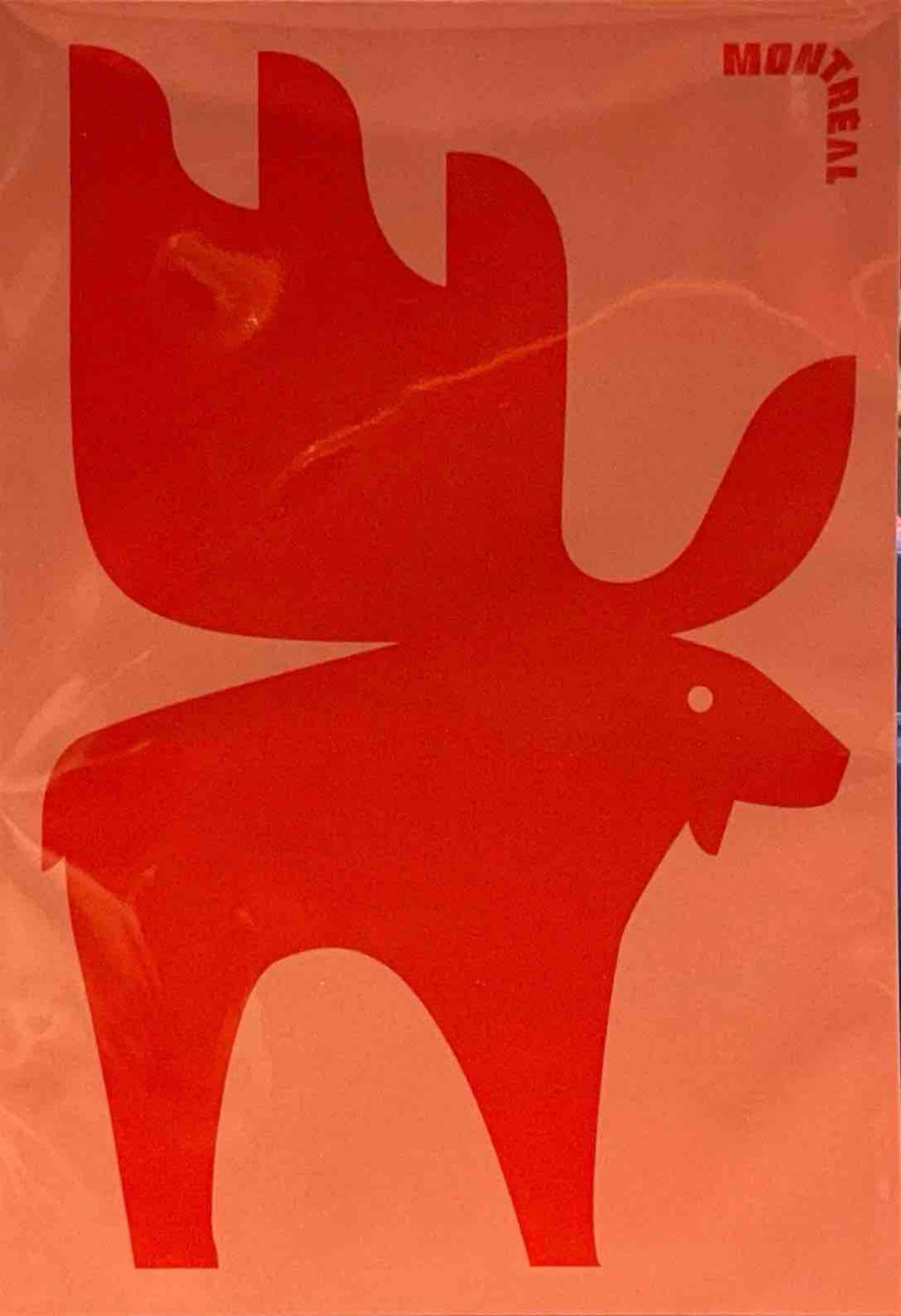 Carte / Barbara Jacques - Animaux
