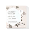 Onguent / Miels d'Anicet - Propolis - 35g