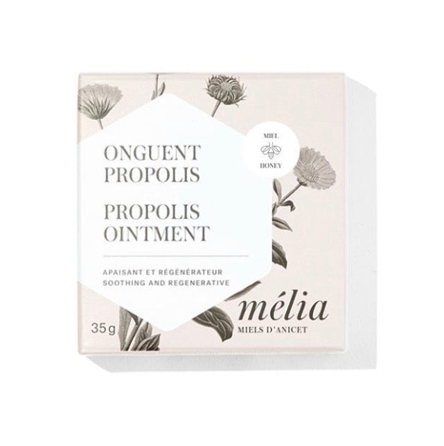 Onguent / Miels d'Anicet - Propolis - 35g