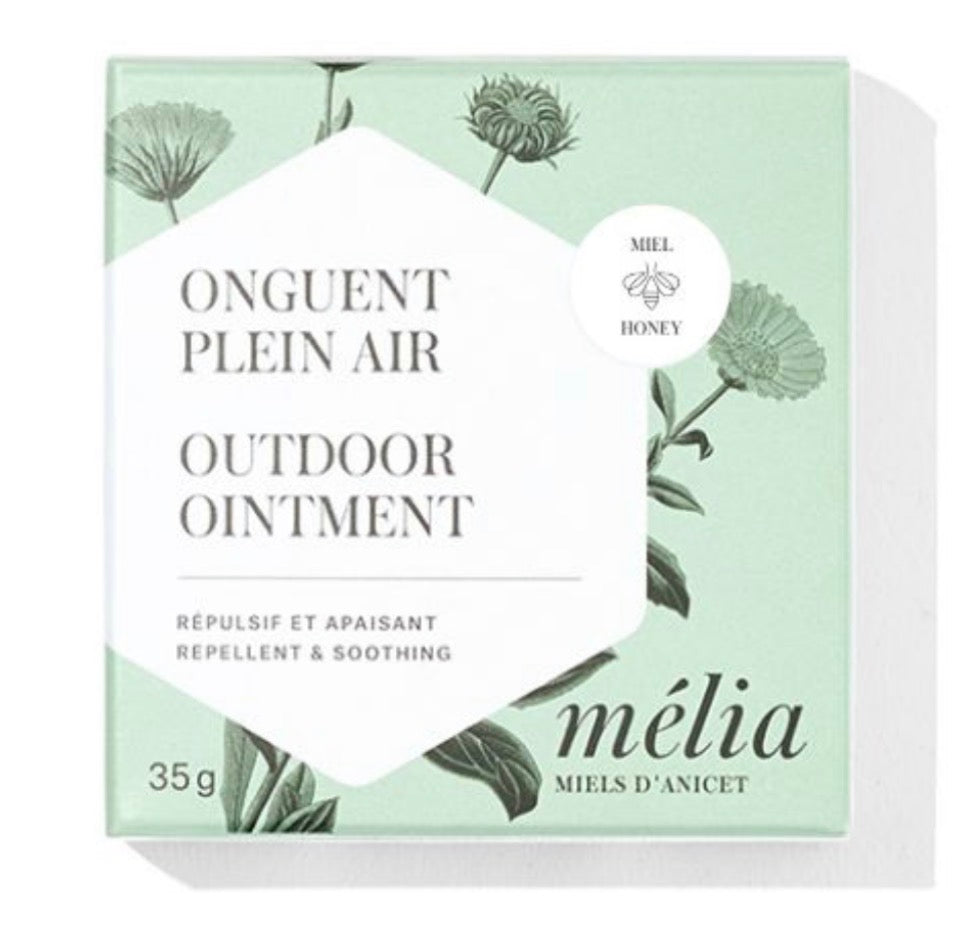 Onguent / Miels d'Anicet - Plein Air - 35g