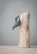Figurine / Aviologie - Grande - Diverses