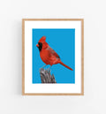Affiche 8 x 10 / Jackie Besteman - Red Cardinal