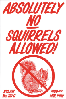 Carte / Raymond Biesinger - No squirrels allowed