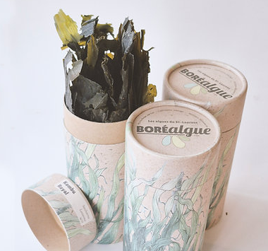 Épice / Boréalgue - Kombu Royal 25 g