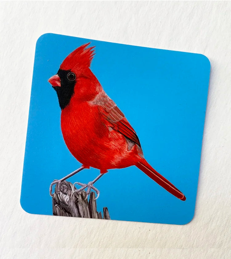 Sticker / Jackie Besteman - Red Cardinal