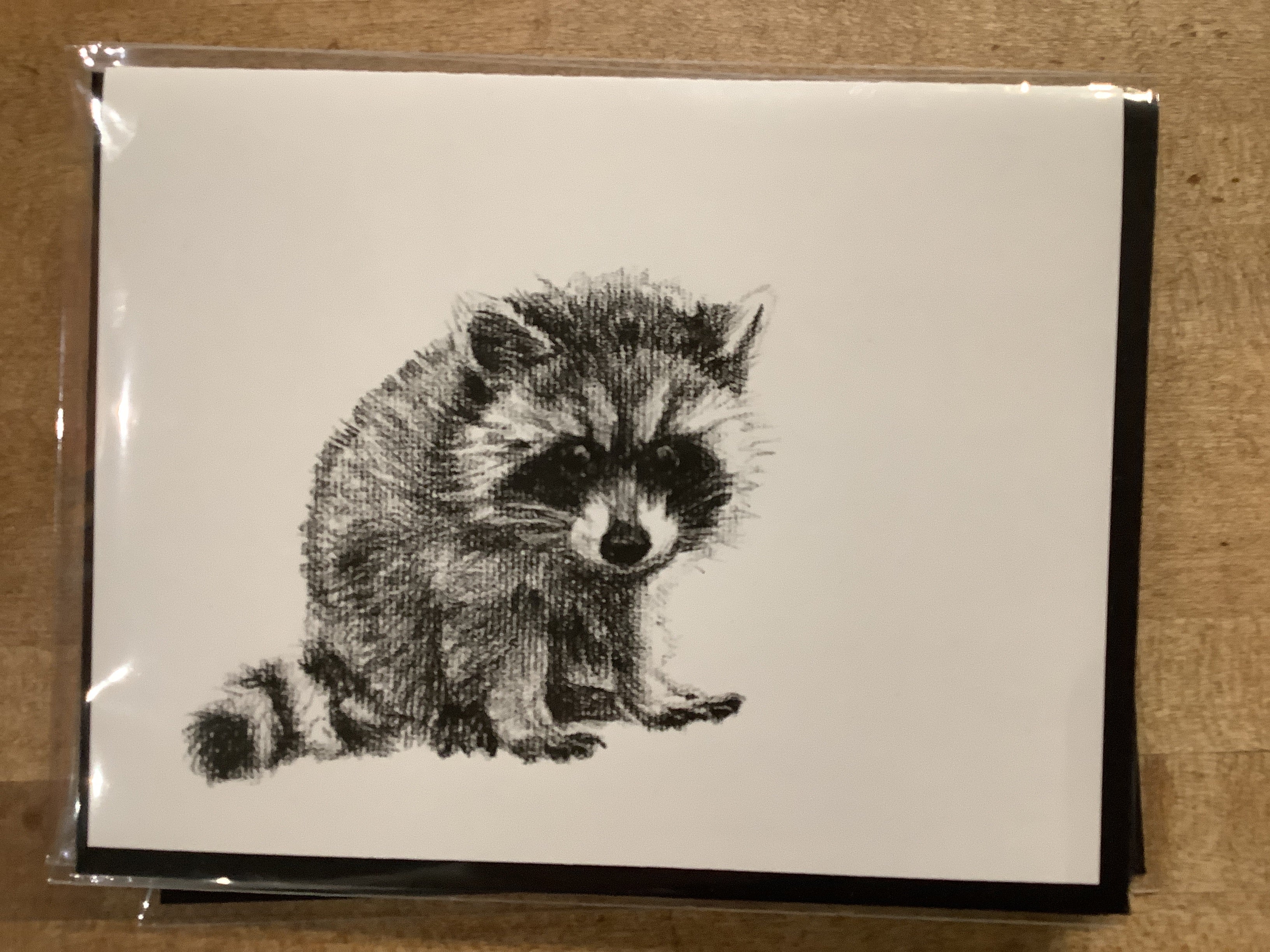 Carte / Le Nid - Bébé raton laveur