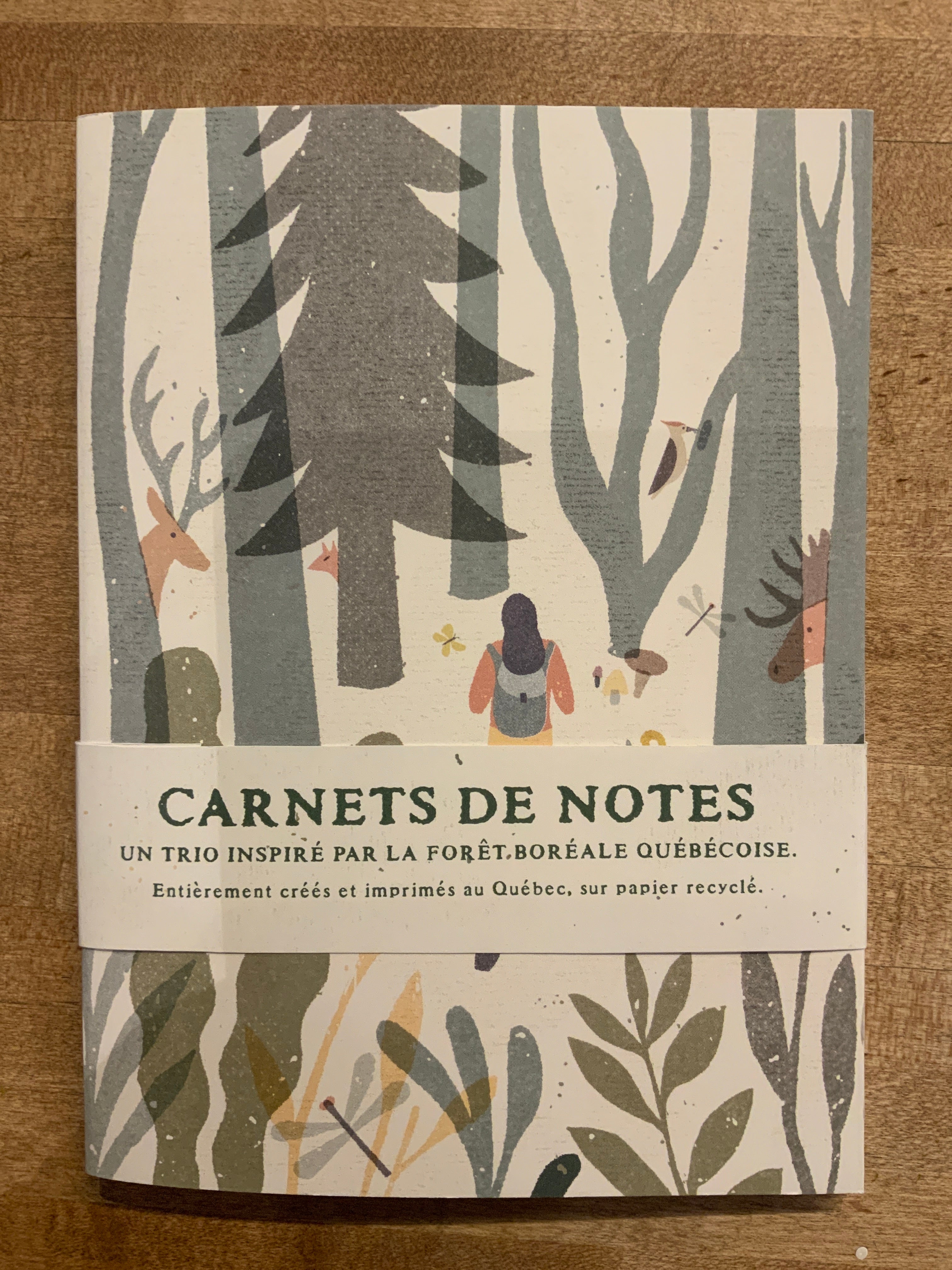 Carnet / Annabelle Métayer - Lot de 3