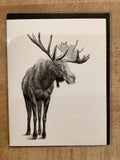 Carte / Le Nid - Orignal debout