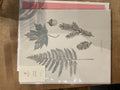 Affiche / Baltic Club - Laurentienne - 8x10