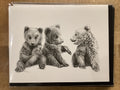 Carte / Le Nid - 3 bébés oursons