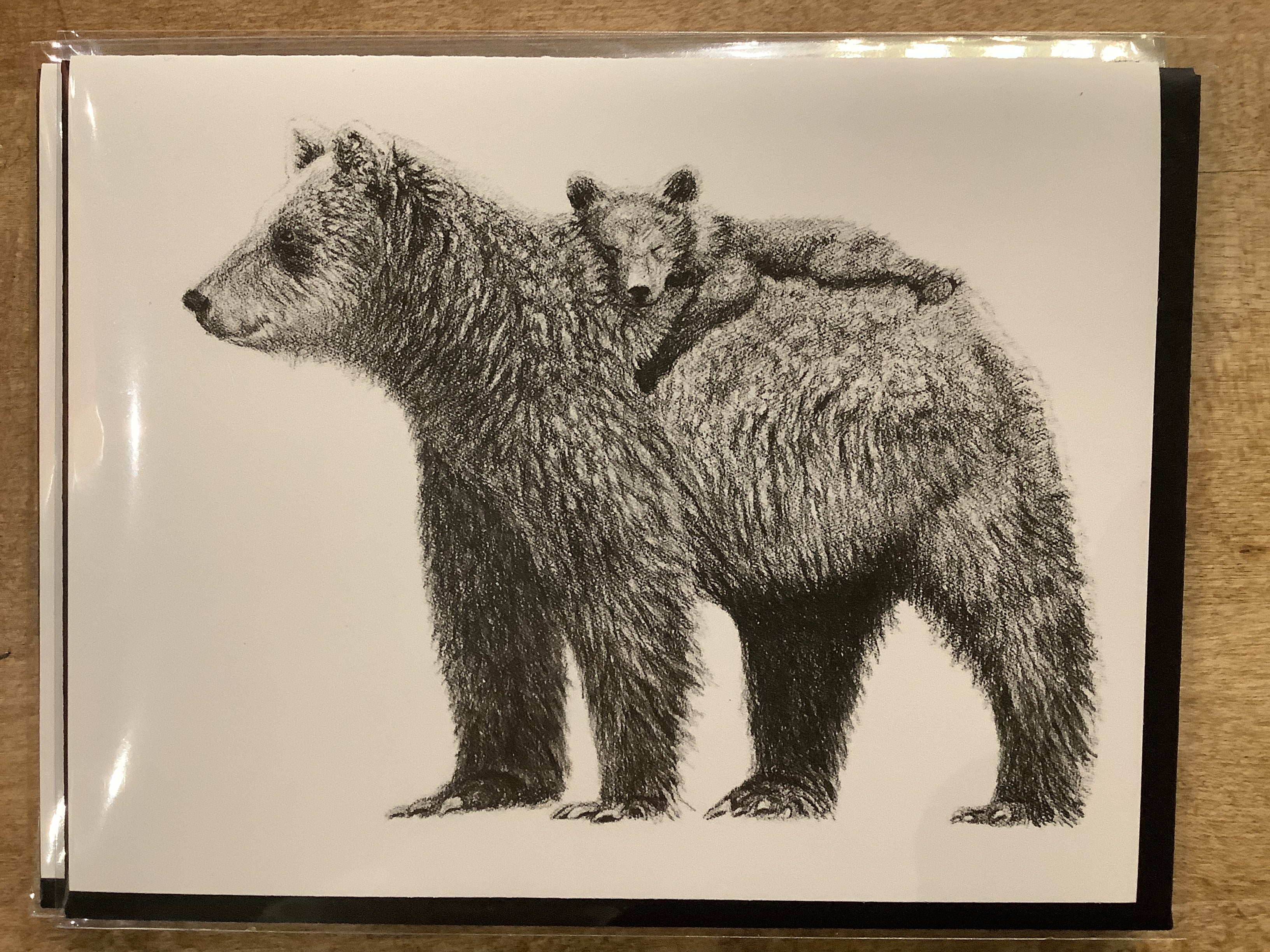 Carte / Le Nid - Ours brun avec bébé