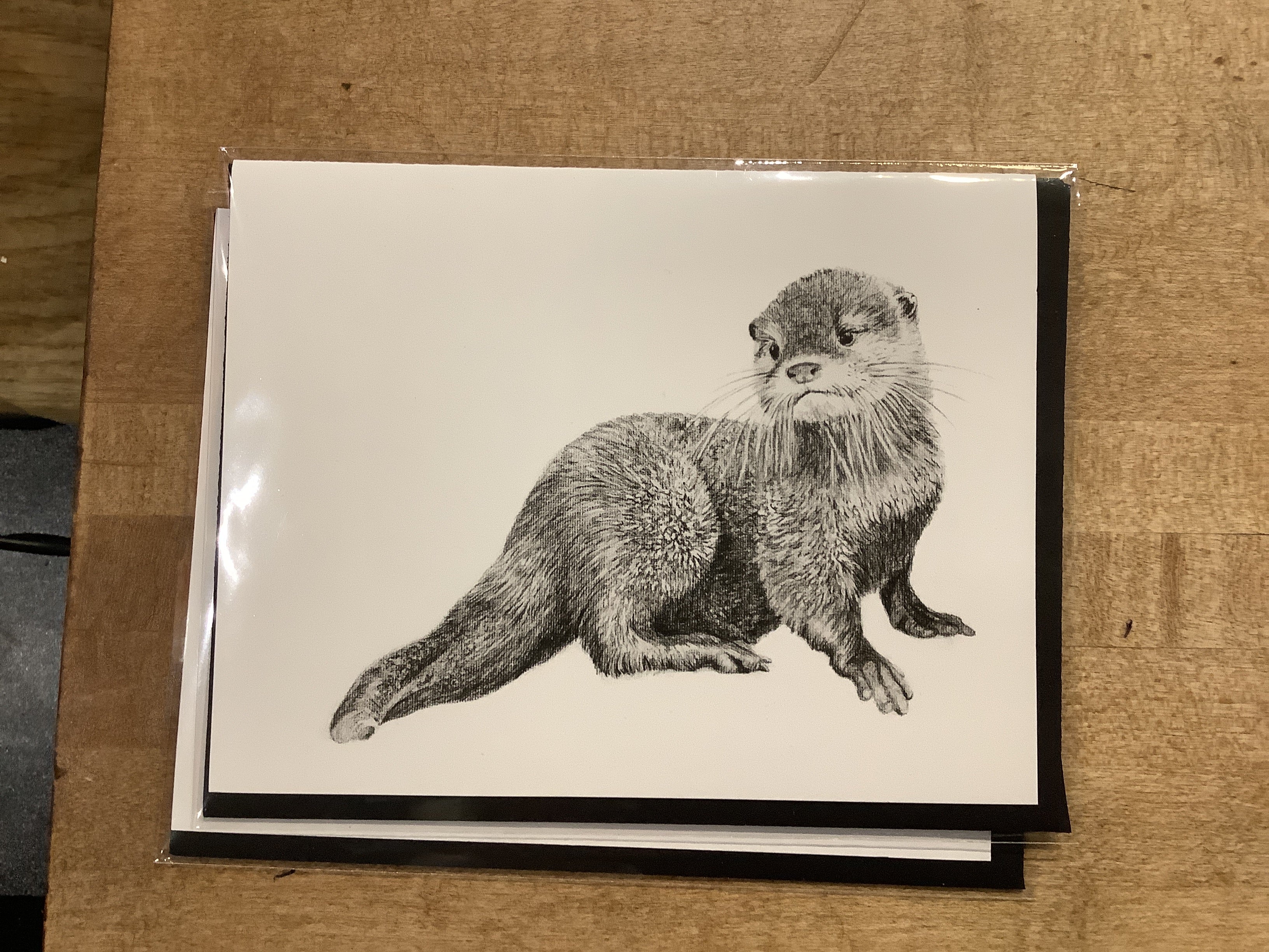 Carte / Le Nid - Bébé loutre