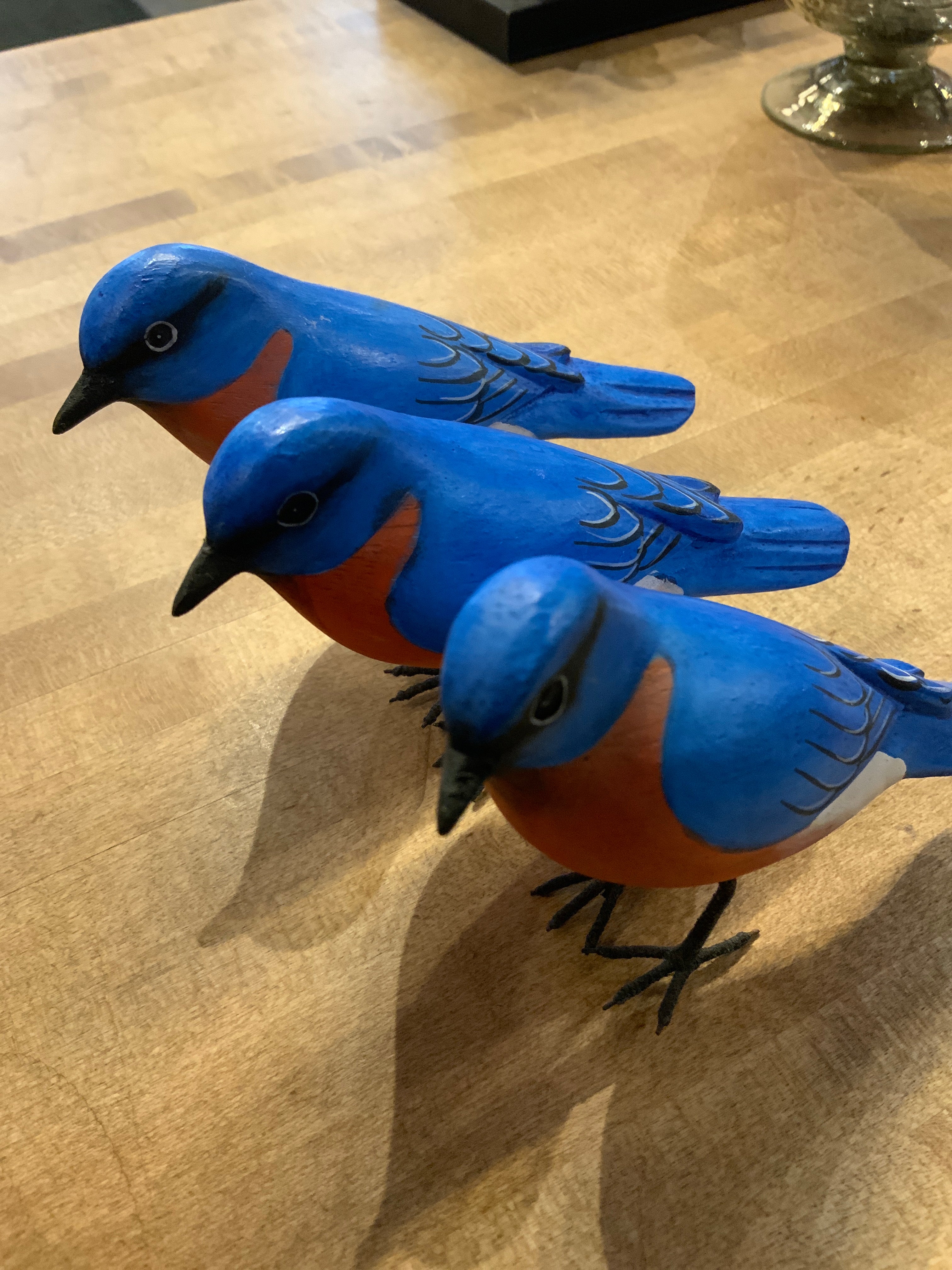 Bird / Avian Biology - Decorative Figurine