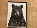 Carte / Le Nid - Ours noir portrait