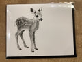 Carte / Le Nid - Bébé Faon