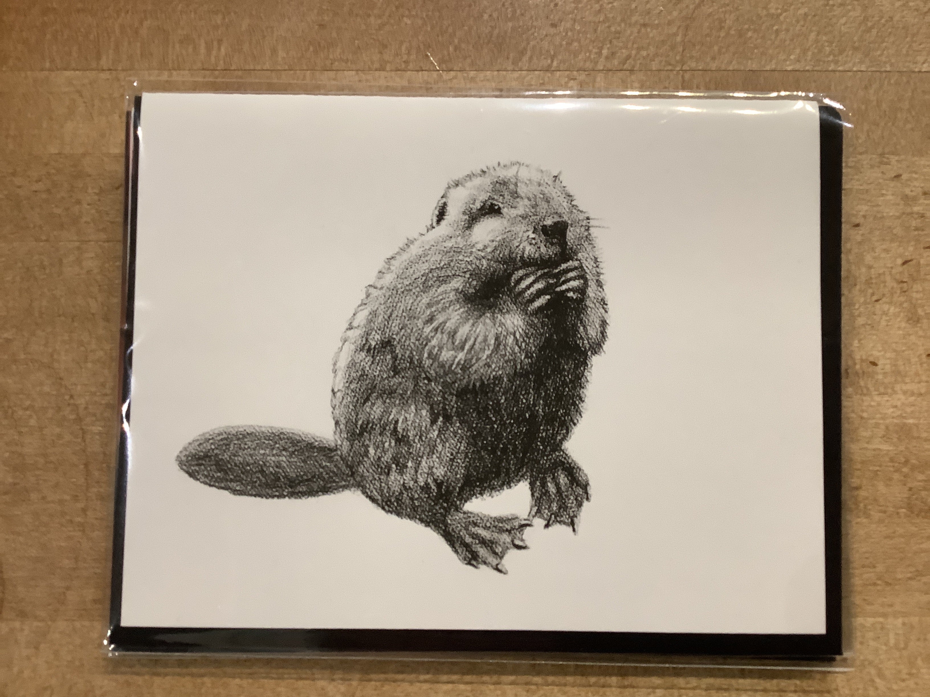 Carte / Le Nid - Castor