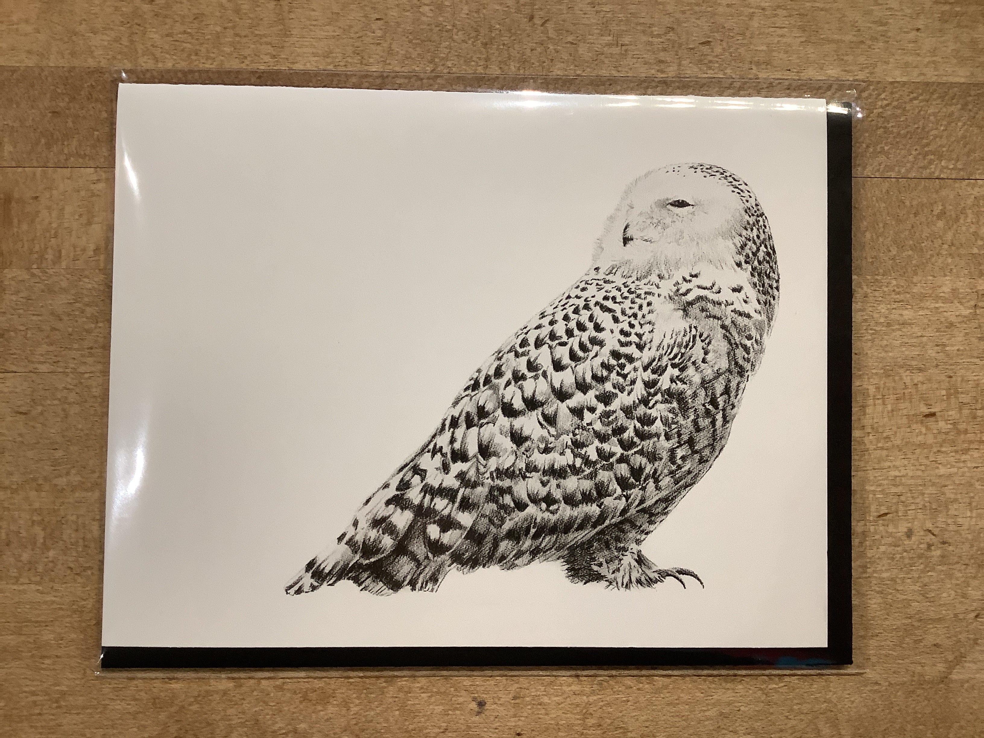Card / The Nest - Snowy Owl